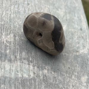 Petoskey stone